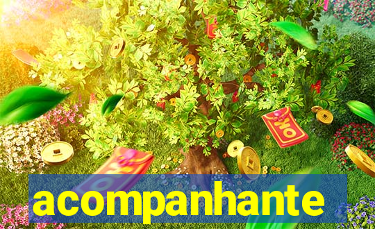 acompanhante executivo bahia
